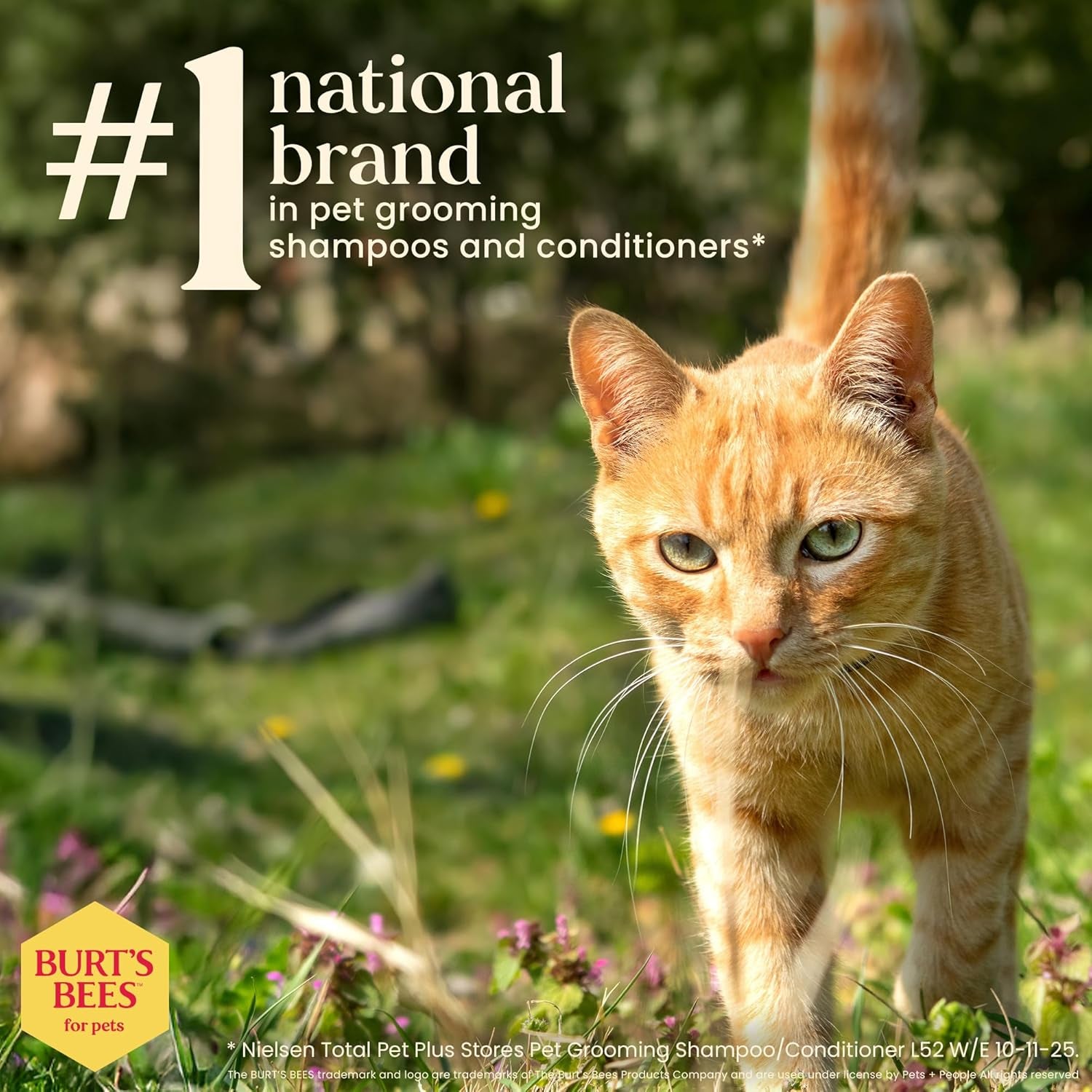 Cat Dander Remover Wipes, Unscented Soft Grooming Cloths with Colloidal Oat Flour + Aloe, Helps Reduce Flaking between Baths for Cats & Kittens, 50 Count